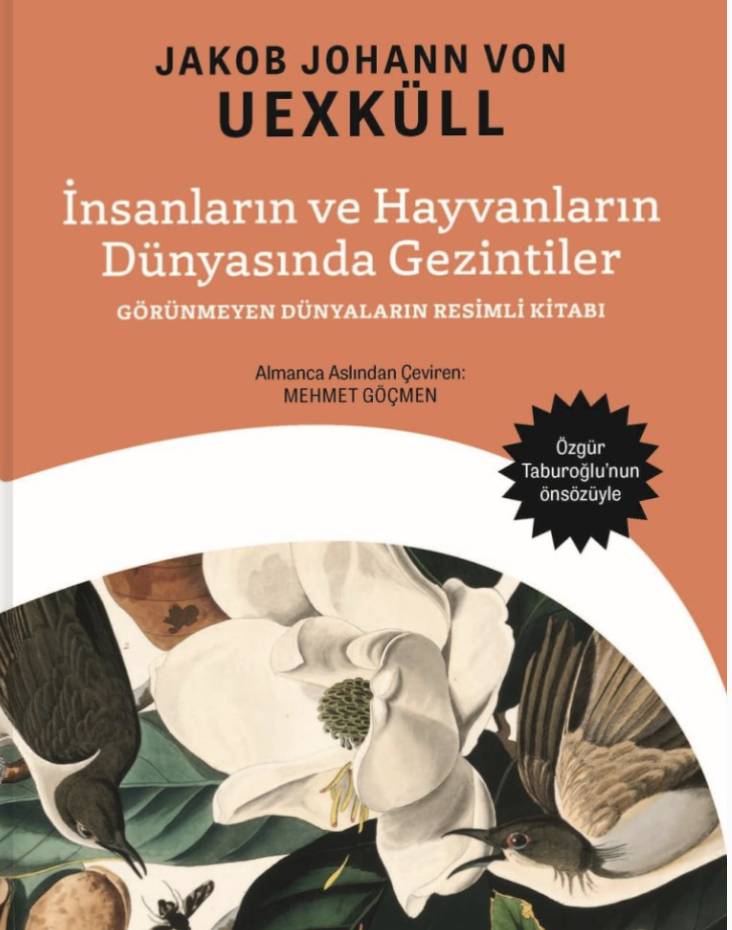 Haftanın kitap seçkisi: 'Saksağan Yokuşu'ndan 'Mutlu Yurttaş İmalatı'na... 6